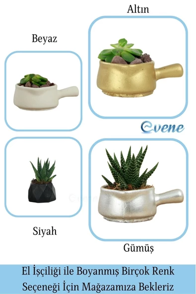Evene Mini Çiçek Saksı Küçük Sukulent Beyaz Kaktüs Saksısı Tava Model - Resim 7