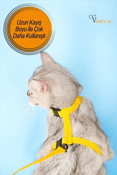 Viselia Kedi Tasması Boyun Göğüs Ayarlanabilir Sevk Kayışlı Gezdirme Seti - 4