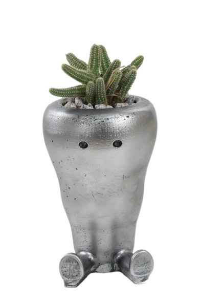 Stein Kohle Çiçek Saksısı Dekoratif Kaktüs Saksı 1 Adet Gümüş Renk Eskitme Uygulamalı Havuç Model ürün görseli 1