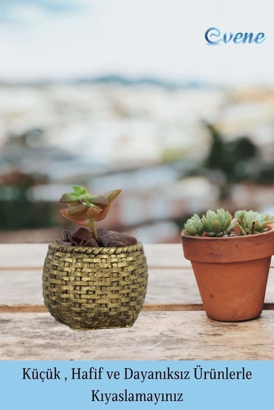 Evene Mini Çiçek Saksı Küçük Sukulent Altın Eskitme Kaktüs Saksısı Sepet Örgü Saksı Model - Resim 3