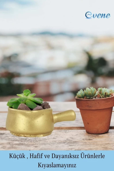 Evene Mini Çiçek Saksı Küçük Sukulent Altın Kaktüs Saksısı 3'lü Set Mini Tava Model - Resim 3