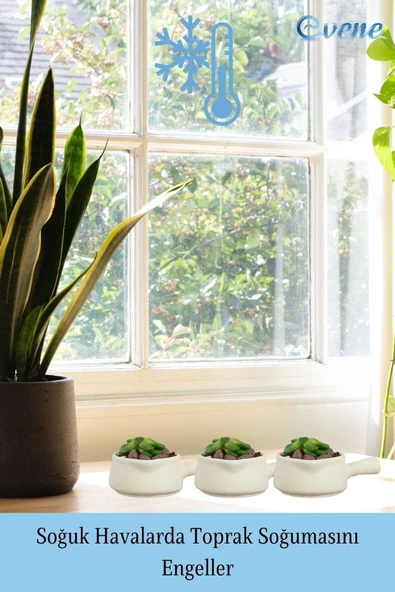 Evene Mini Çiçek Saksı Küçük Sukulent Beyaz Kaktüs Saksısı Tava Model - Resim 5