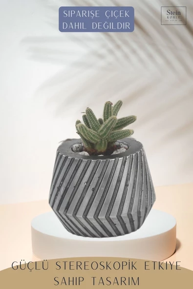 Stein Kohle Çiçek Saksısı Büyük Boy 1 Adet Gümüş Renk Eskitme Uygulamalı Dişli Model - Resim 4