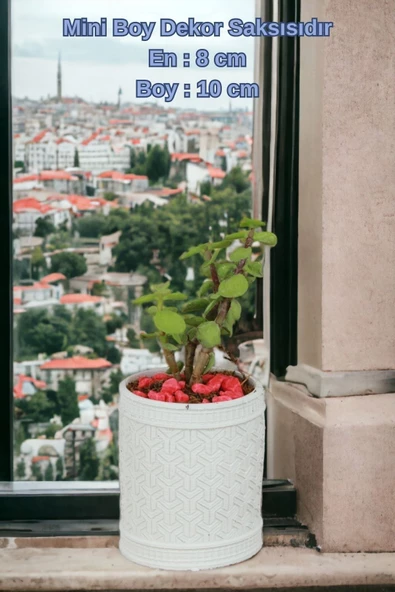 Kaktüs Saksı Dünyası El Yapımı Saksı Beyaz Dekoratif Saksı Küçük Boy Model 42 - Resim 2