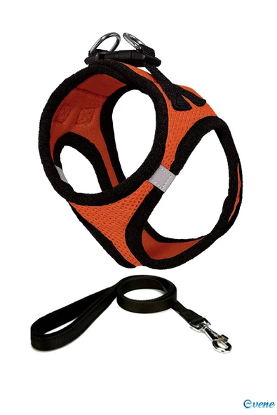 Evene Kedi Göğüs Tasması Kedi Köpek Boyun Göğüs Tasması S Beden Turuncu - Resim 2