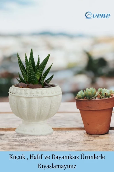 Evene Mini Çiçek Saksı Küçük Sukulent Beyaz Kaktüs Saksısı Antika Model - 3