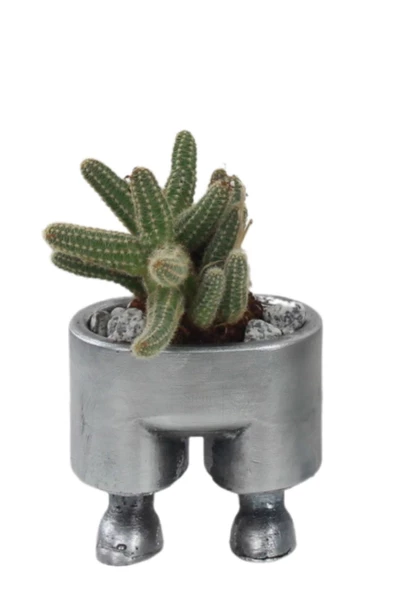 Stein Kohle Çiçek Saksısı Dekoratif Kaktüs Saksı 1 Adet Gümüş Renk Eskitme Uygulamalı Pantolon Model