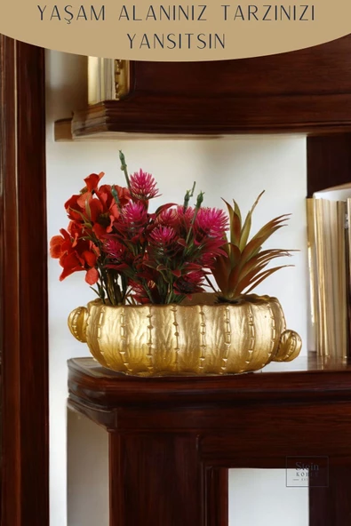 Stein Kohle Çiçek Saksısı Dekoratif Kaktüs Saksı 1 Adet Altın Renk Uygulamalı Model 3 - Resim 4