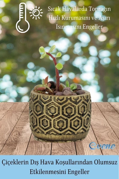 Evene Mini Çiçek Saksı Küçük Sukulent Altın Eskitme Kaktüs Saksısı Altıgen Desenli Model - 4