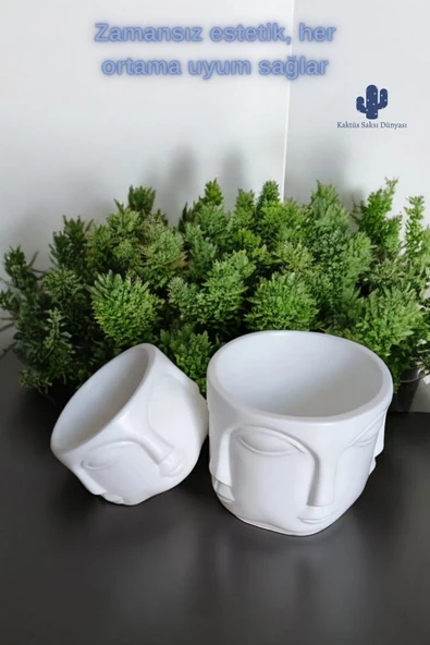 Kaktüs Saksı Dünyası Adler Havelka Saksı 2 Li Saksı Seti Buda Saksı Dekoratif Boyasız Havelka Saksı - Resim 7