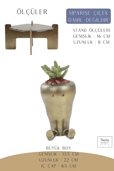 Stein Kohle Ayaklı Saksı Ahşap Büyük Boy 1 Adet Altın Renk Eskitme Uygulamalı Havuç Model - Resim 2