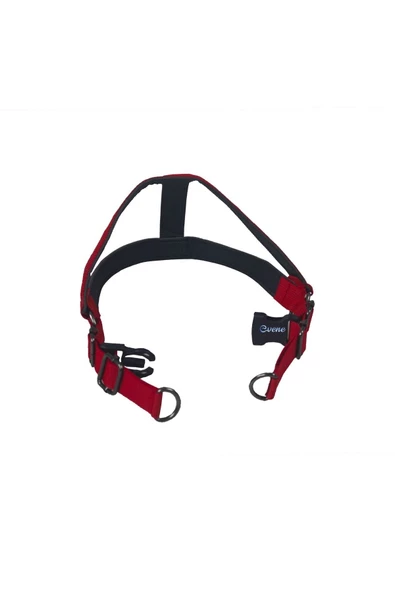 Evene Köpek Tasması Köpek Gögüs Boyun Ayarlanabilir Fonksiyonel Evcil Hayvan Tasma Kırmızı - Resim 5