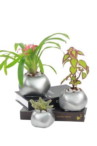 Stein Kohle Çiçek Saksısı Büyük Boy 3 Adet Gümüş Renk Eskitme Uygulamalı Spiral Oval Model ürün görseli 1