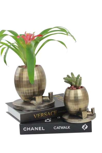 Stein Kohle Çiçek Saksısı Büyük Boy 2 Adet Altın Renk Eskitme Uygulamalı Ayaklı Yuvarlak Model ürün görseli 1