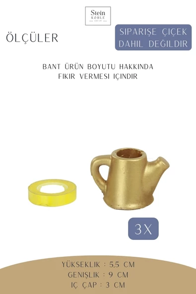 Stein Kohle Dekoratif Saksı Minik Kaktüs Saksısı Altın Renk 3 Adet Saksı Seti Mini Çaydanlık Model - Resim 2