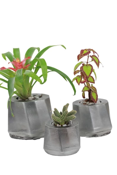 Evene Saksı Çiçek Kaktüs Saksısı Lüx 15 Cm Gümüş Eskitme Varak Boyalı Kalın Çizgi Desen 3'lü Set Çiçeklik ürün görseli 1