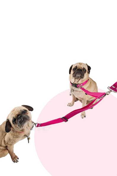 Evene Kedi Gezdirme Tasması Kedi Gezdirme Ipi Çiftli Tasma Model 9 Pembe - Resim 3