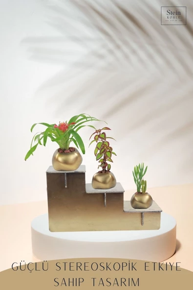 Stein Kohle Ayaklı Saksı Ahşap Büyük Boy 3 Adet Altın Renk Eskitme Uygulamalı Spiral Oval Model - Resim 4