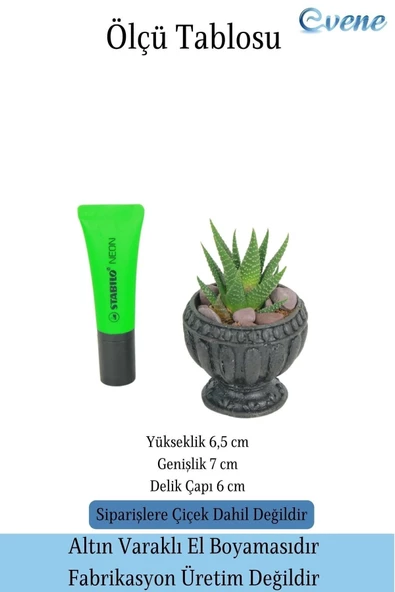 Evene Mini Çiçek Saksı Küçük Sukulent Siyah Kaktüs Saksısı Antika Model - Resim 2