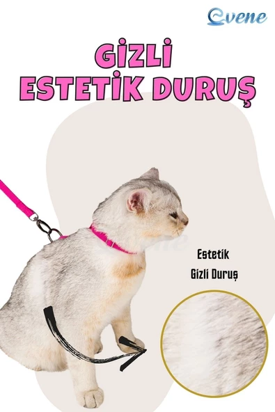 Evene Kedi Tasması Kedi Gögüs Bel Ayarlanabilir Tasma Pembe - Resim 5