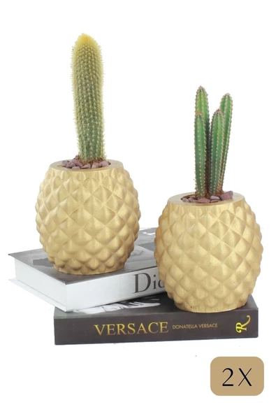 Stein Kohle Çiçek Saksısı Büyük Boy 2 Adet Altın Renk Uygulamalı Ananas Model ürün görseli 1