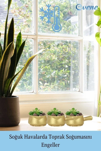 Evene Mini Çiçek Saksı Küçük Sukulent Altın Kaktüs Saksısı 3'lü Set Mini Tava Model - Resim 5
