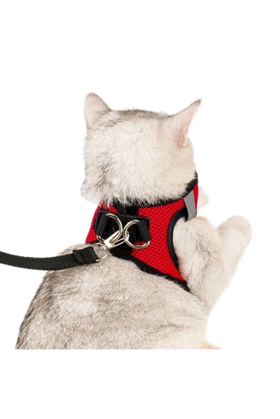 Evene Kedi Tasması Kayışlı Gezdirme Boyun Göğüs Tasması Reflektörlü Deri Fileli Dayanıklı S Beden Kırmızı - Resim 4