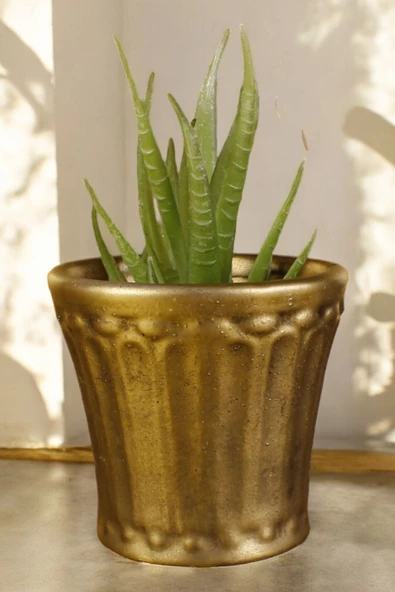 Stein Kohle Dekoratif Saksı Minik Kaktüs Saksısı Altın Eskitme Renk Model 40 ürün görseli 1