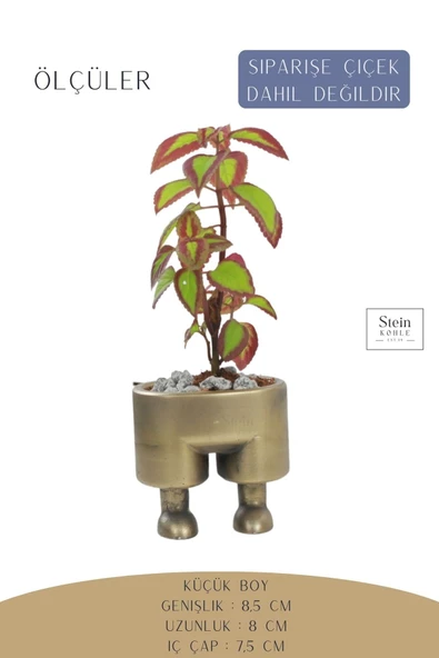 Stein Kohle Çiçek Saksısı Dekoratif Kaktüs Saksı 1 Adet Altın Renk Eskitme Uygulamalı Pantolon Model - 2