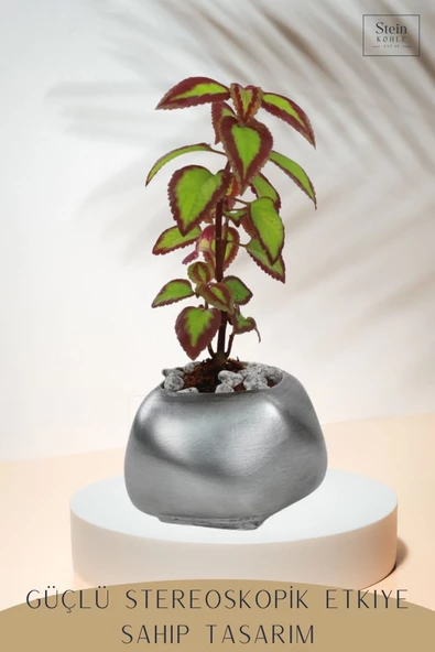 Stein Kohle Çiçek Saksısı Büyük Boy 3 Adet Gümüş Renk Eskitme Uygulamalı Spiral Oval Model - Resim 5