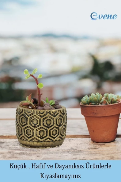 Evene Mini Çiçek Saksı Küçük Sukulent Altın Eskitme Kaktüs Saksısı Altıgen Desenli Model - 3