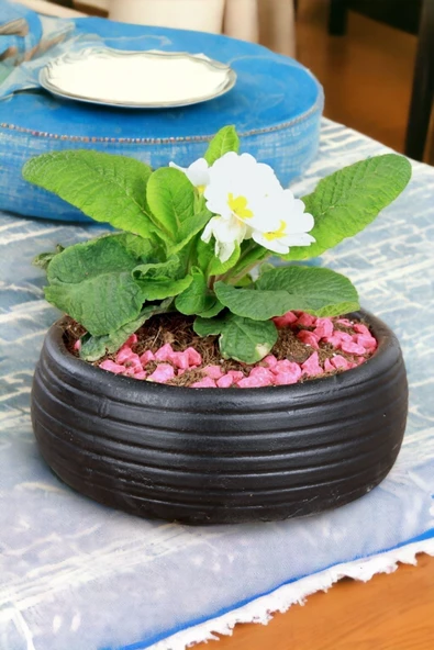 Kaktüs Saksı Dünyası El Yapımı Saksı Siyah Premium Kalite Dekoratif Saksı Model 4 ürün görseli 1