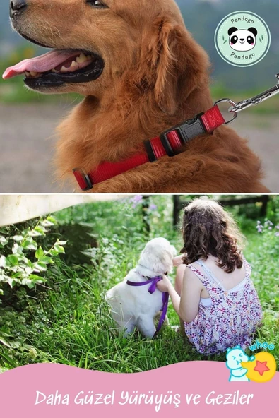 Pandogo Kedi Boyun Tasması Ayarlanabilir Kedi Gezdirme Tasma Standart Bedenli Model - Resim 8
