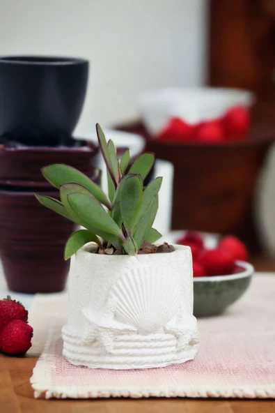 Viselia Kaktüs Saksısı Sukulent El Yapımı Saksı Balkon Çiçek Saksısı Ev Saksısı Saksı Model 5 Beyaz - Resim 6