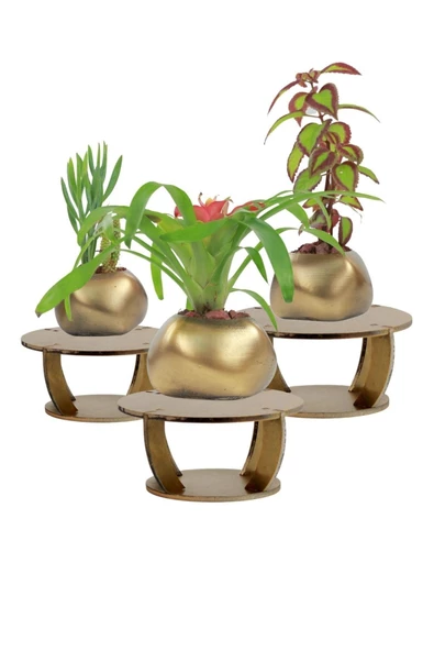 Evene Ahşap Ayaklı Beton Saksı Büyük Boy Set 3 Adet Altın Varak Boyalı Eskitmeli Spiral Oval Model ürün görseli 1