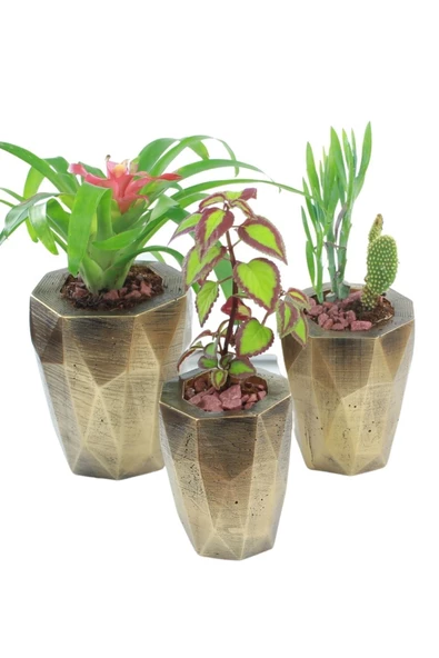 Evene Saksı Çiçek Kaktüs Saksısı Lüx 15 Cm Altın Eskitme Varak Boyalı Uzun Poly Desenli 3'lü Set Çiçeklik ürün görseli 1