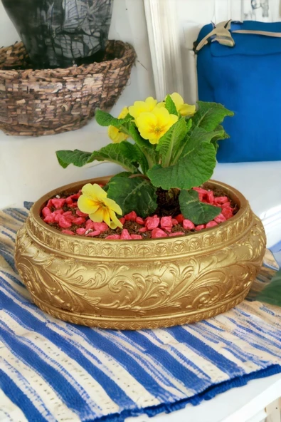 Kaktüs Saksı Dünyası El Yapımı Saksı Altın Premium Kalite Dekoratif Saksı Model 5 - 1
