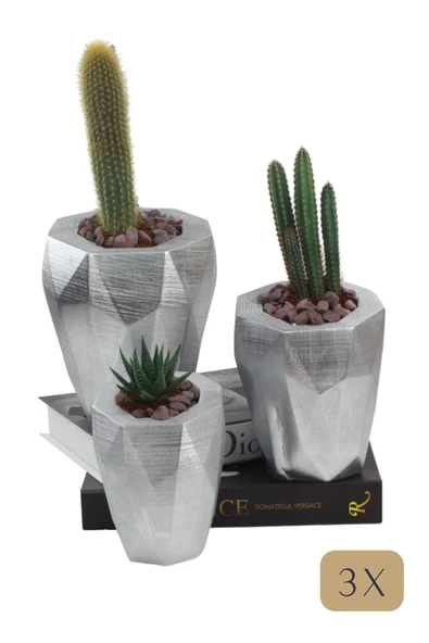 Stein Kohle Çiçek Saksısı Büyük Boy 3 Adet Gümüş Renk Uygulamalı Uzun Poly Model ürün görseli 1