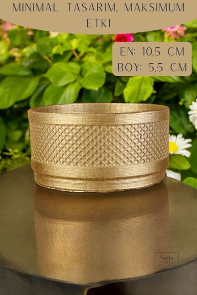 Stein Kohle Dekoratif Saksı Minik Kaktüs Saksısı Altın Renk Model 22 - Resim 2