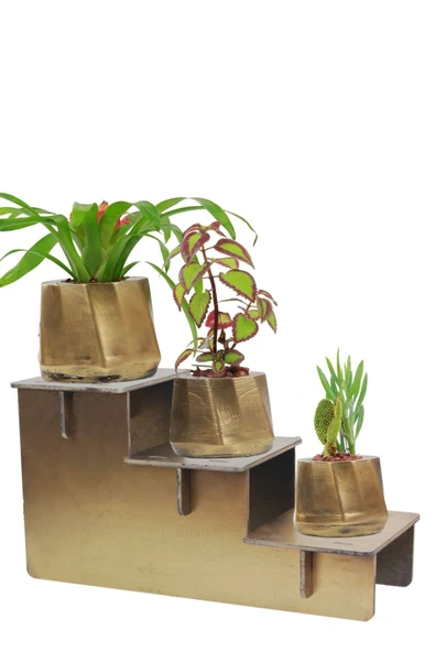 Stein Kohle Ayaklı Saksı Ahşap Büyük Boy 3 Adet Altın Renk Eskitme Uygulamalı Kalın Çizgi Model ürün görseli 1