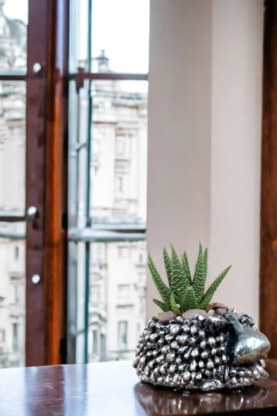 Viselia Kaktüs Saksısı Sukulent El Yapımı Saksı Balkon Çiçek Saksısı Ev Saksısı Saksı Model 6 Gümüş - 5