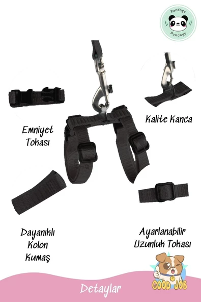 Pandogo Kedi Köpek Tasması Ayarlanabilir Bedenli Kaçış Önleyici Tasarım Sevk Kayışlı Dubai Model Siyah - Resim 2