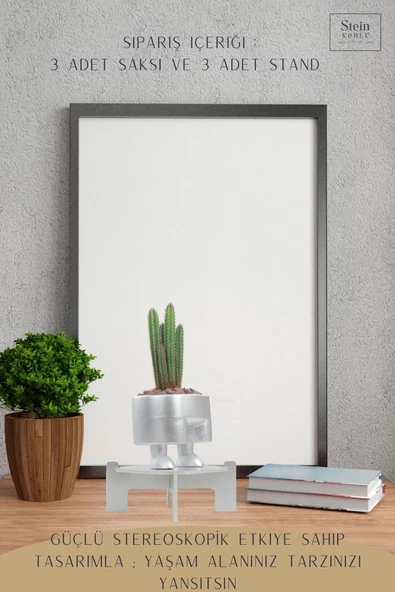 Stein Kohle Ayaklı Saksı Ahşap Büyük Boy 3 Adet Gümüş Renk Uygulamalı Pantolon Model - 4