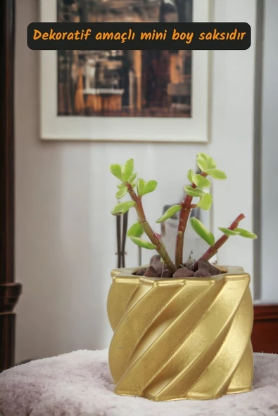 Viselia Kaktüs Saksısı Sukulent El Yapımı Saksı Balkon Çiçek Saksısı Ev Saksısı Saksı Model 9 Altın - Resim 2