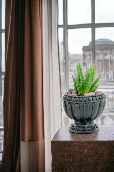 Viselia Kaktüs Saksısı Sukulent El Yapımı Saksı Balkon Çiçek Saksısı Ev Saksısı Saksı Model 17 Siyah - Resim 5