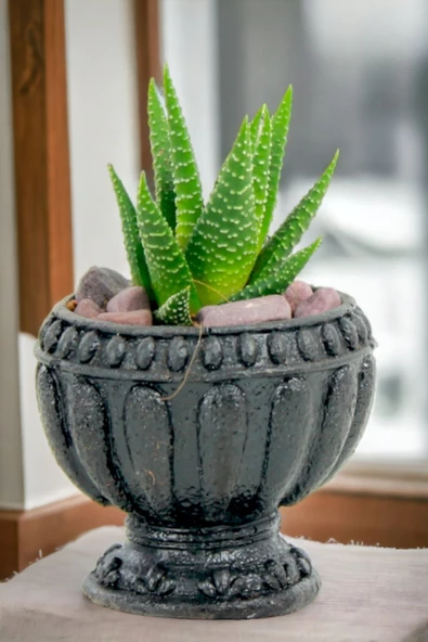 Viselia Kaktüs Saksısı Sukulent El Yapımı Saksı Balkon Çiçek Saksısı Ev Saksısı Saksı Model 17 Siyah ürün görseli 1