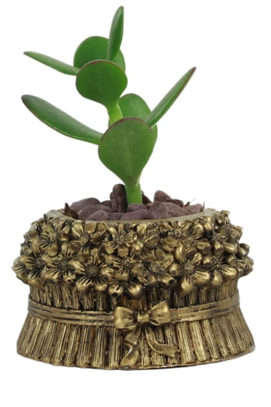 Evene Mini Çiçek Saksı Küçük Sukulent Altın Eskitme Kaktüs Saksısı Çiçekli Fiyonklu Model ürün görseli 1