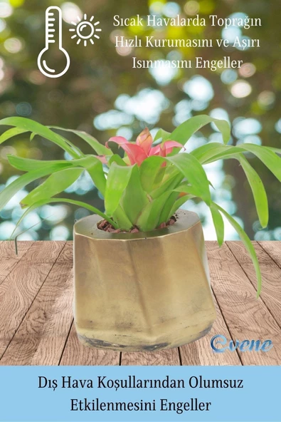 Evene Saksı Çiçek Kaktüs Saksısı Lüx 15 Cm Altın Eskitme Varak Boyalı Kalın Çizgi Desen 3'lü Set Çiçeklik - Resim 6