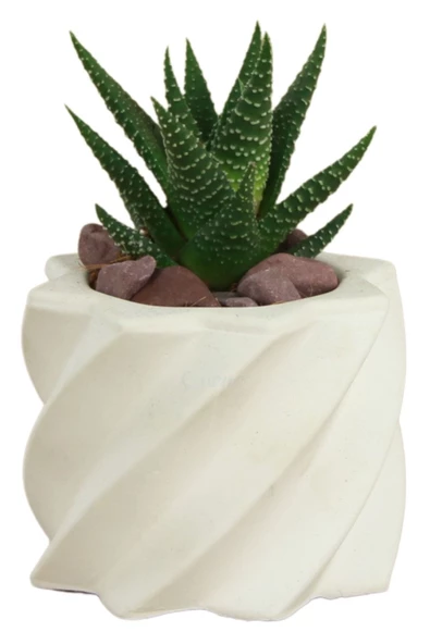 Evene Mini Çiçek Saksı Küçük Sukulent Beyaz Kaktüs Saksısı Kalın Çizgili Yıldız Model ürün görseli 1