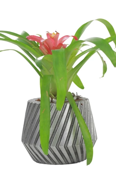 Stein Kohle Çiçek Saksısı Büyük Boy 1 Adet Gümüş Renk Eskitme Uygulamalı Dişli Model ürün görseli 1